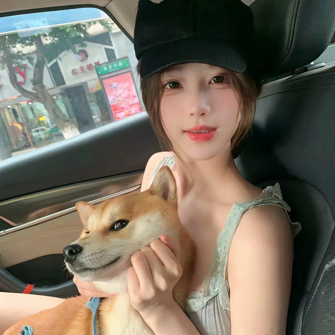 小猪进城